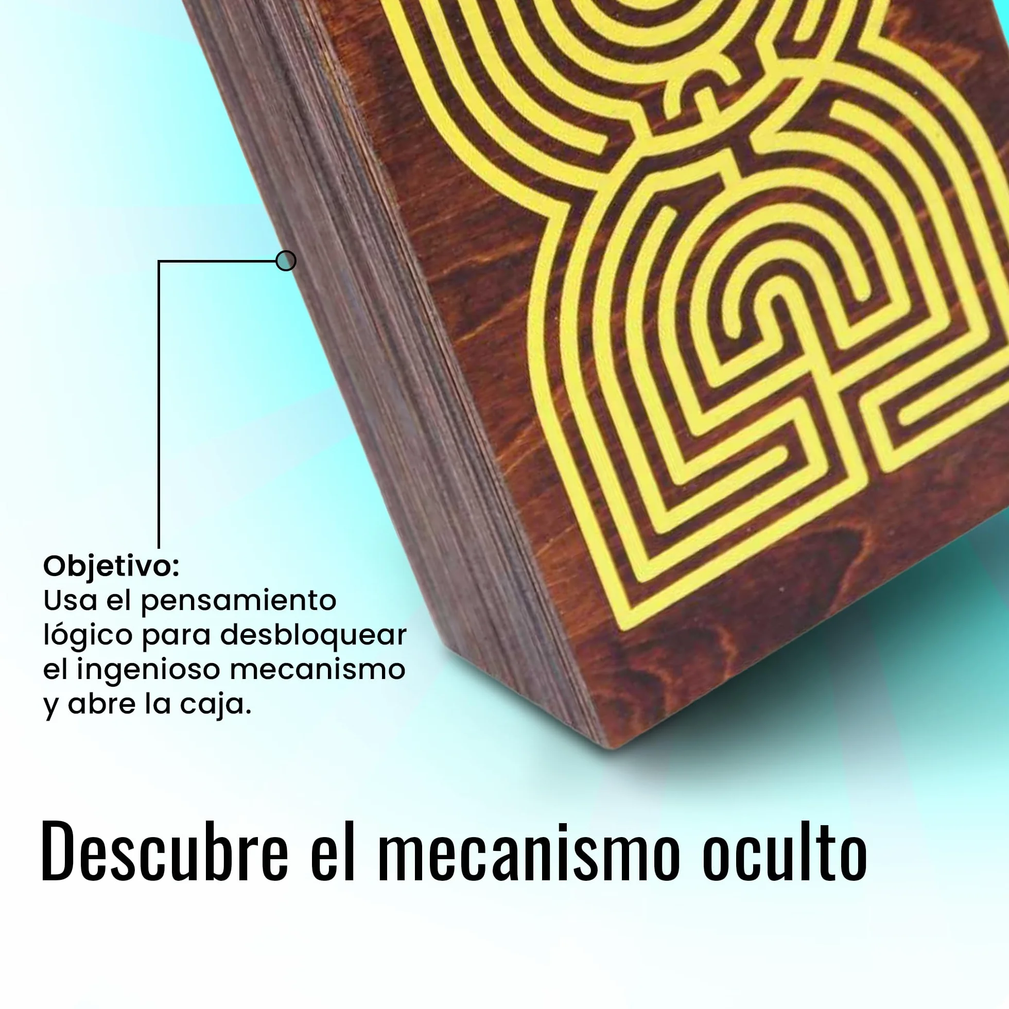 Logica Juegos Cofre Laberinto Rompecabezas de Madera Caja Secreta Dificultad 5/6 Colección Leonardo da Vinci